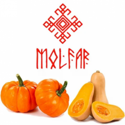  Табак Molfar Chill Line Тыквенное наслаждение 100 г