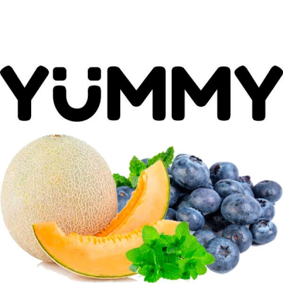  Табак Yummy Дыня Черника Мята 100 г